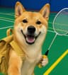 DogMemes logo