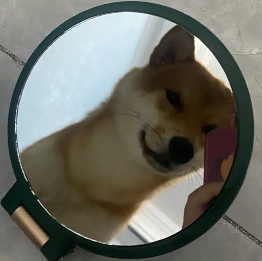 Confused 七万 Shiba Inu dog meme face for Discord reaction